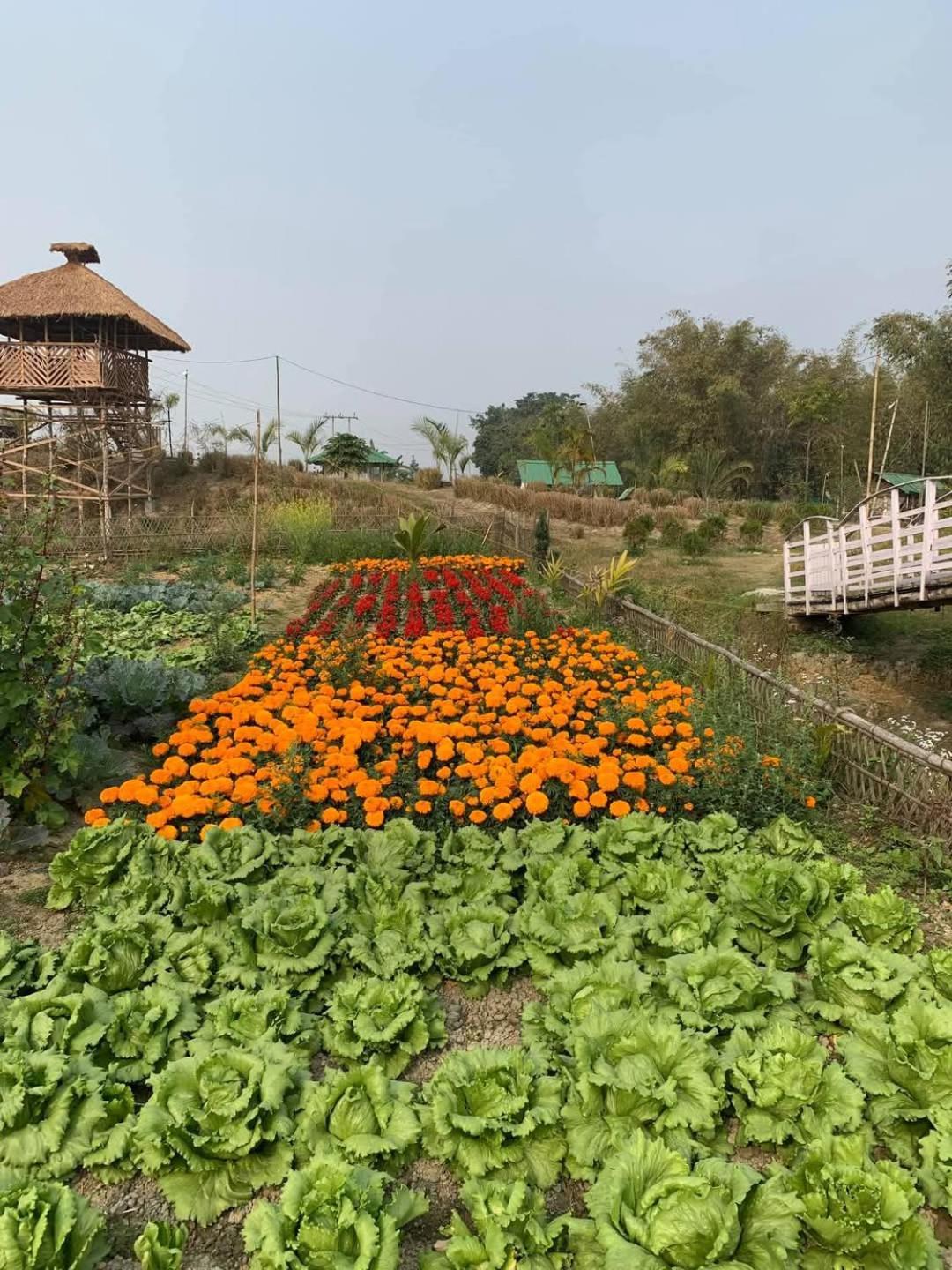 Bogibil Eco Resort New Dibrugarh Ngoại thất bức ảnh