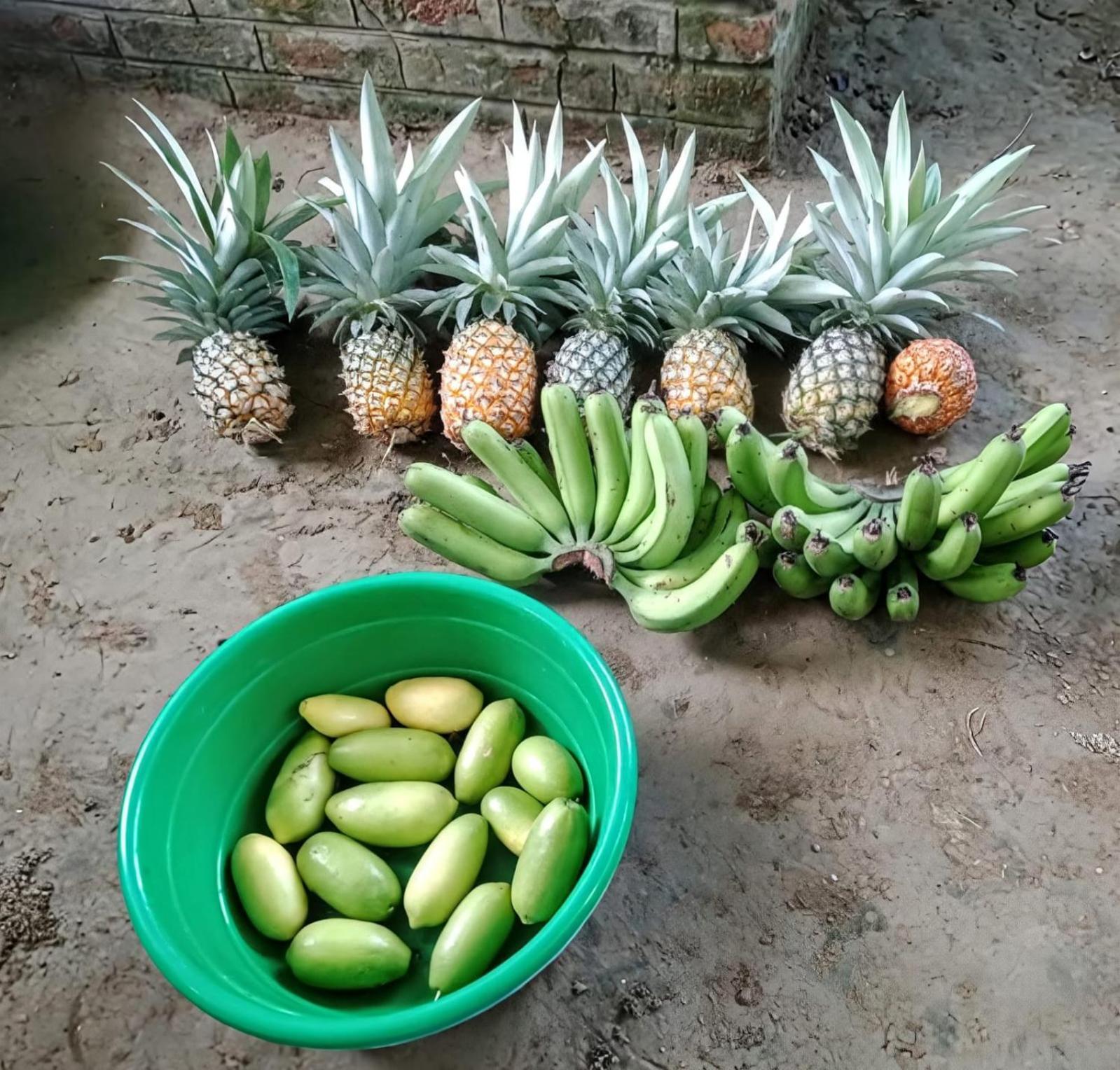 Bogibil Eco Resort New Dibrugarh Ngoại thất bức ảnh